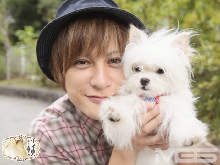 【配信専用作品】ゆうきセレクション  パッケージ